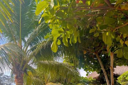 Mejor para Viajero Solo: Troncones Point Hostel, Troncones