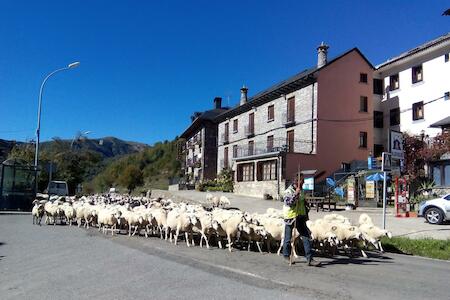Albergue El Último Bucardo, Linás de Broto