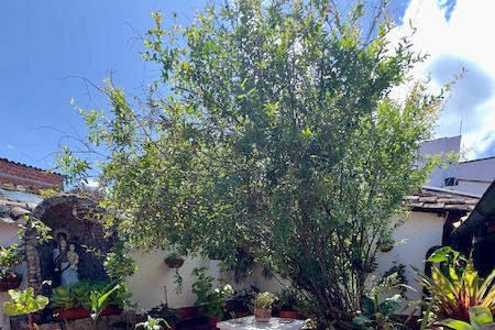 Hostal Villa Galicia Hostal Villa Galicia