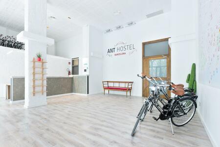 Ant Hostel