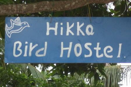 Hikka Bird Hostel