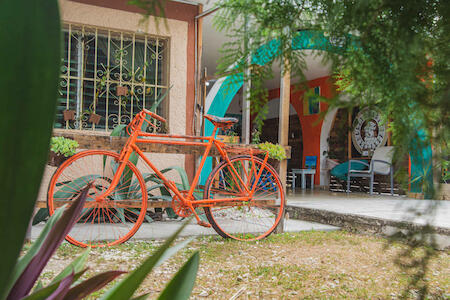 Best Party Hostel: Casa Samay, Cozumel