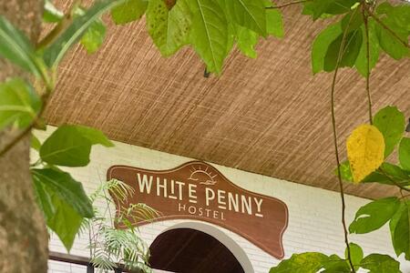 Best Party Hostel: White Penny Hostel