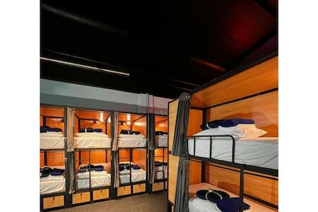 Best Party Hostel: Capsuleaccom Hostel, Gold Coast