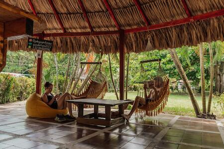 Jaba Jan, Palomino Jaba Jan, Palomino