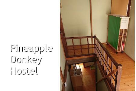 Pineapple Donkey Hostel