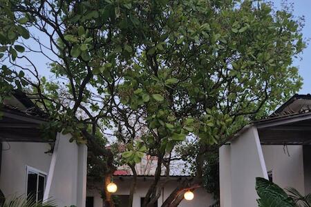 Best for Solo Traveler: Zomad Hostels, Auroville