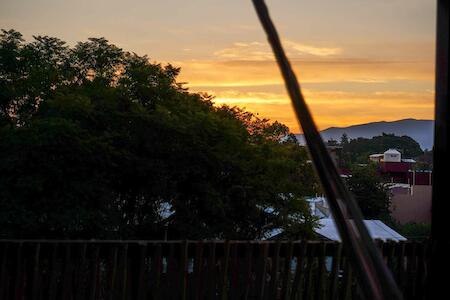La Casa Del Arbol, Oaxaca City La Casa Del Arbol, Oaxaca City