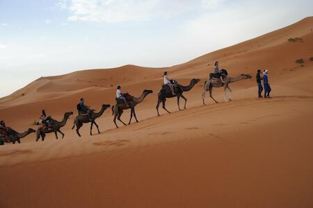 Desert Camel Trekking Camp