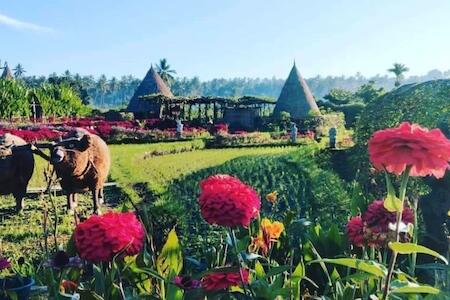 Maha Gangga Valley, Karangasem Maha Gangga Valley, Karangasem