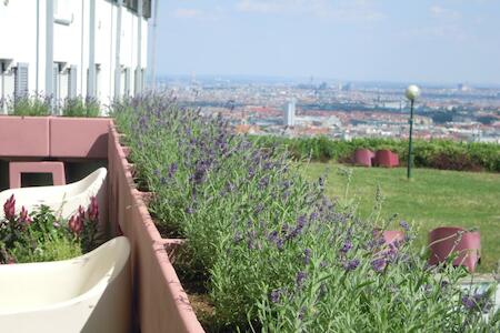 HI - Vienna - Palace Hostel Schlossherberge, Vienna