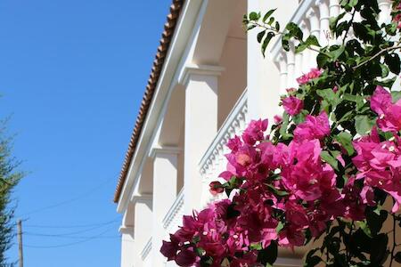 Apartamentos Bolonia Paraiso, Bolonia Apartamentos Bolonia Paraiso, Bolonia