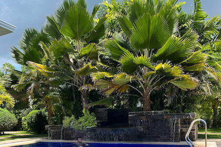 Best for Female Solo Traveler: Red Picnic Hostel, Panglao Island