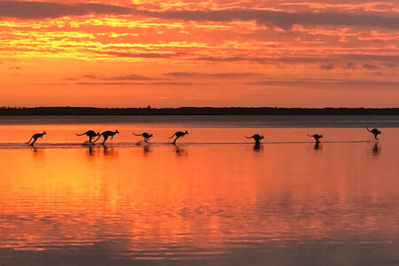 Best for Solo Traveler: Kangarooms Noosa Everglades Yha, Cootharaba
