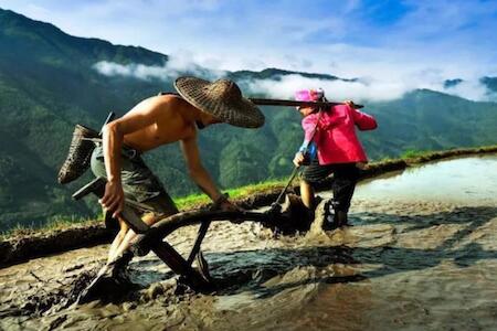 Dragon's Den Hostel in Rice Terraces, Longsheng Dragon's Den Hostel in Rice Terraces, Longsheng