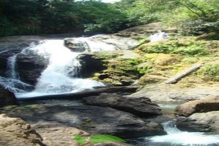 Rio Agujitas Eco Jungle Hostel, Camping & Tours
