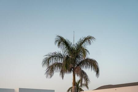 Best for Female Solo Traveler: Kyuka Surfclub, Fuerteventura