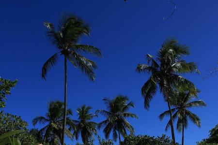 Best for Solo Traveler: Imbassaí Pousada Hostel Lujimba, Imbassaí Best for Solo Traveler: Imbassaí Pousada Hostel Lujimba, Imbassaí