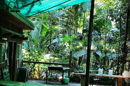 Best for Solo Traveler: Daintree Crocodylus Village, Cape Tribulation