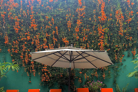 Ginger Banana Hostel, Oaxaca Ginger Banana Hostel, Oaxaca