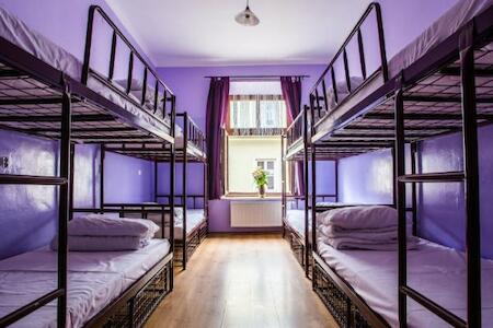 Pink Panther's Hostel, Krakow Pink Panther's Hostel, Krakow