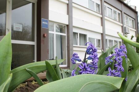 Hostel Rakitje-Rakitje, Rakitje