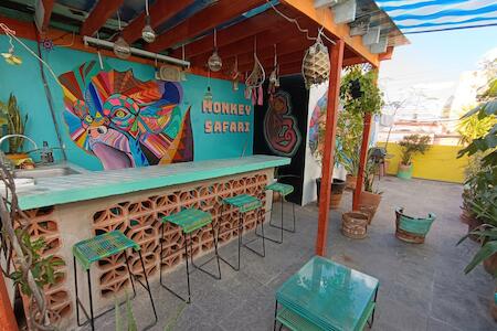Best Party Hostel: Monkey Safari Hostel, Querétaro