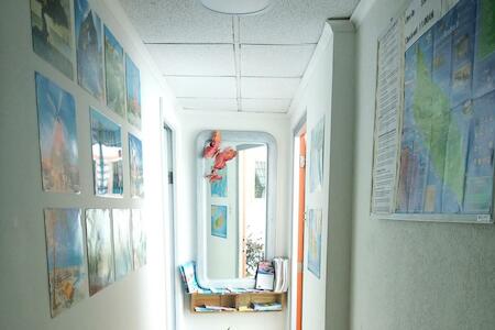 Hostel Room Aruba