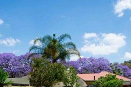 Best for Solo Traveler: 1322 Backpackers International, Pretoria