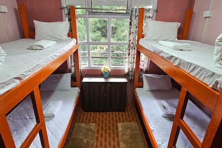 Cafe & Stay Hostel, Darjeeling