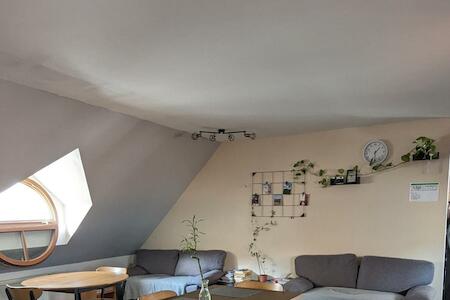 Hostel John Galt, Brno