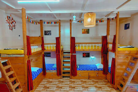 Curlies Zululand Hostel Goa Anjuna, Goa