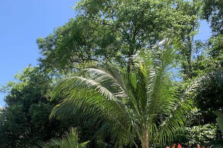 Best for Solo Traveler: Kimara Hostel, Tayrona Park