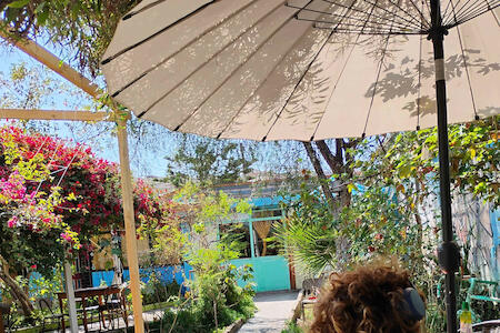 Best for Female Solo Traveler: Hostel La Posada De Gallo, Arica
