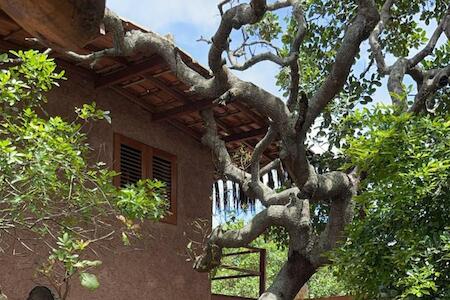 Best Party Hostel: Vulva Caraíva Hostel e Pousada para Mulheres, Caraiva