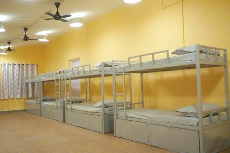 PocketExpress, Bidsāngvi