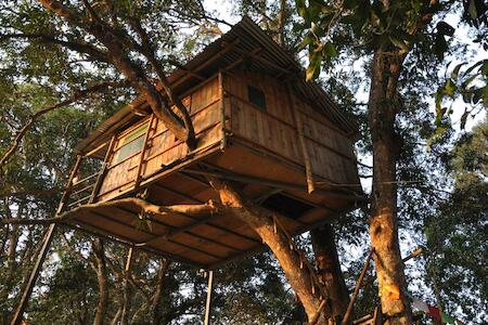 Pemsee's Tree Town - Eco Treehouse Hostel, Sauraha
