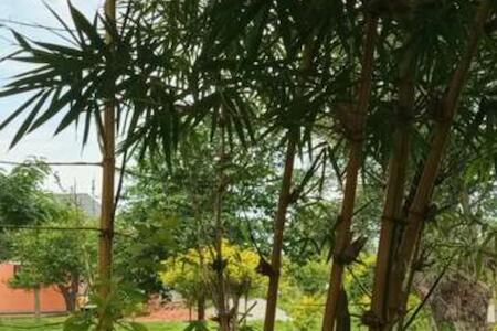 Eco Hub Africa Cottages, Coworking & Nature
