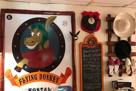 Best Party Hostel: Flying Donkey Hostal, Otavalo