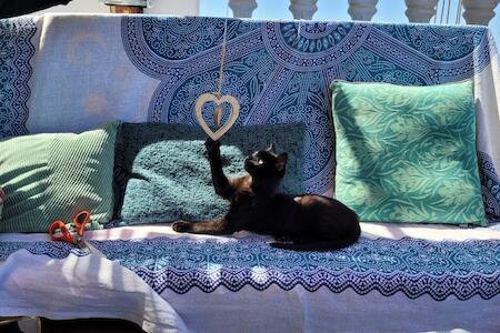 Best Party Hostel: Agadir Funky Chill Guesthouse, Agadir