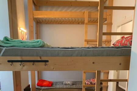 Artishalico Tallinn, Tallinn