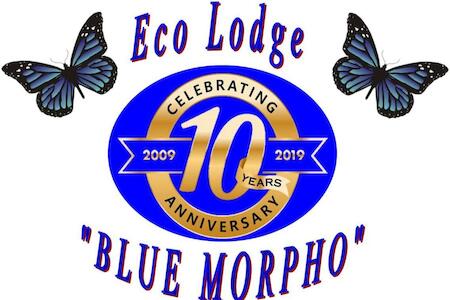 Ecolodge Blue Morpho