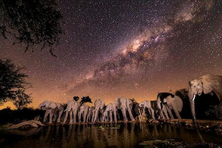 Antares Bush Camp & Umgede Hide, Grietjie Game Reserve Antares Bush Camp & Umgede Hide, Grietjie Game Reserve