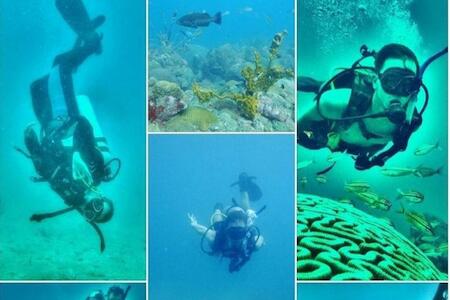Taganga Paradise Hostal & Diving