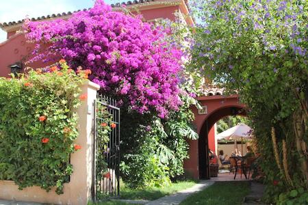 Hostal El Arbol, La Serena