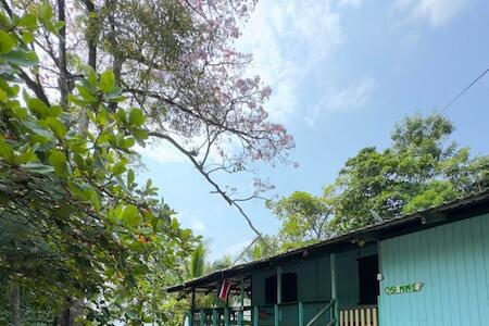 Best for Solo Traveler: Casa Mamré, Cahuita