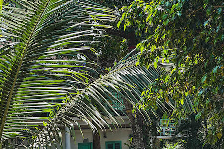Mollys Hostel, Varkala