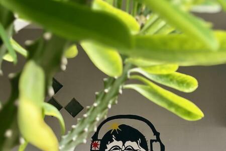 Best for Solo Traveler: ZZZ Ijen Hostel, Banyuwangi Best for Solo Traveler: ZZZ Ijen Hostel, Banyuwangi