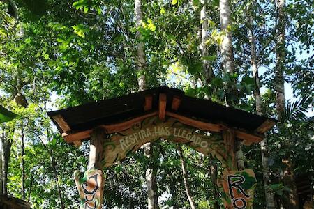 Jungle Roots Glamping