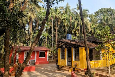 BunkNBrew, Palolem